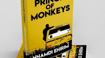 Nnamdi Ehirim, Prince of Monkeys, Nigerian writers, African writers, African novel, Nigerian novel, Afrocritik