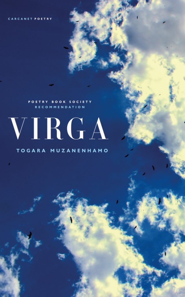 Togara Muzanenhamo - Virga