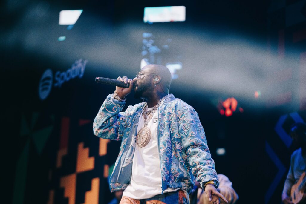 Davido performs at the Giant of Africa Festival (Afrocritik)
